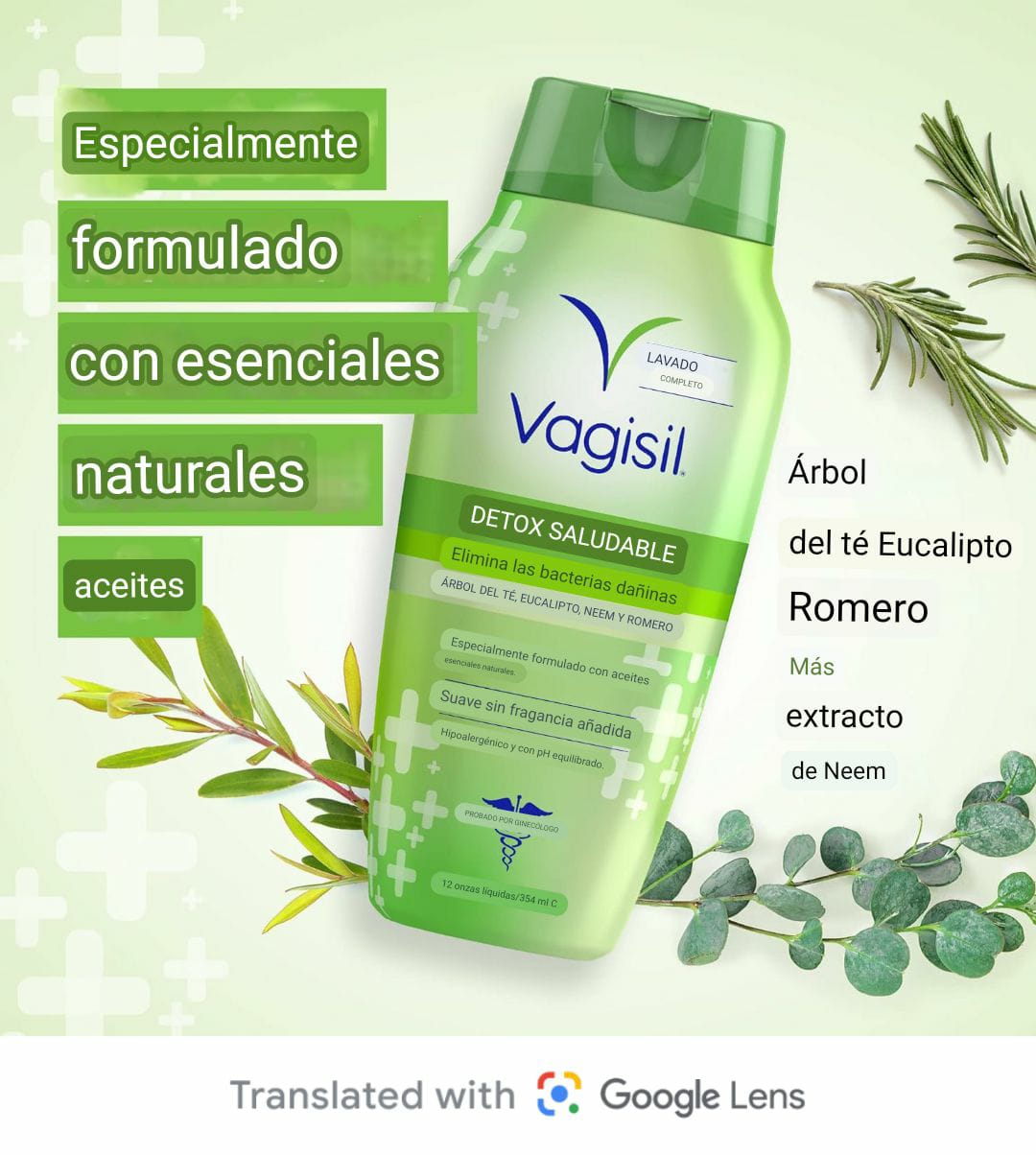 Vagisil DETOX SALUDABLE En todo el lavado corporal para mujeres, ginecólogo, probado, hipoalergénico y pH equilibrado, 12 onza