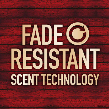 Desodorante antitranspirante Old Spice para hombre, barra sólida invisible, Swagger, 73gr